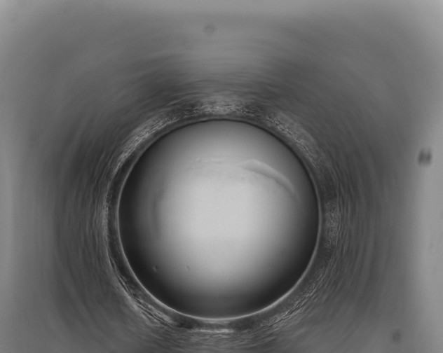 X0000095960626200801181446