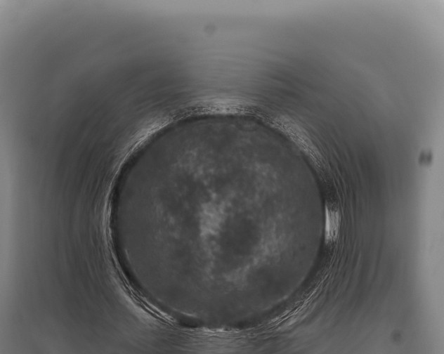 X0000095960627200801181446