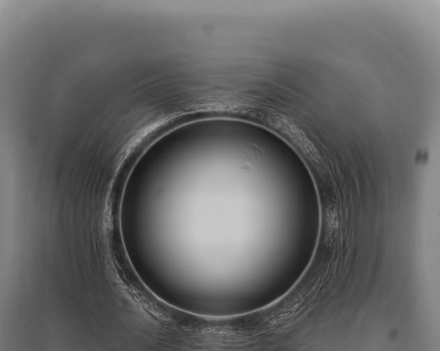 X0000095960628200801181446