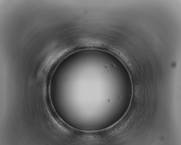 X0000095960629200801181446