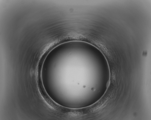 X0000095960630200801181446