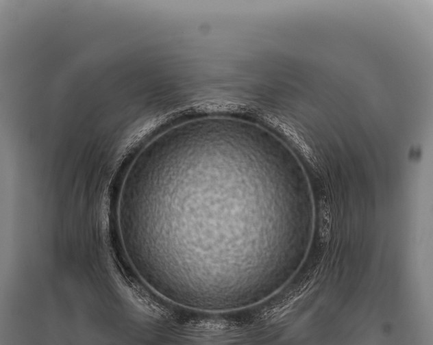 X0000095960631200801181446