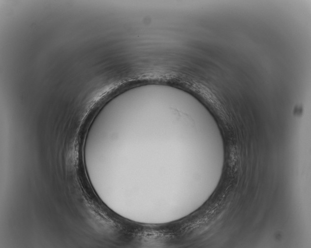 X0000095960632200801181446