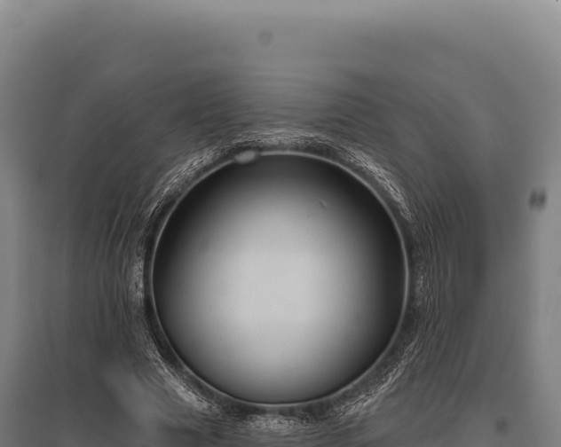 X0000095960633200801181446