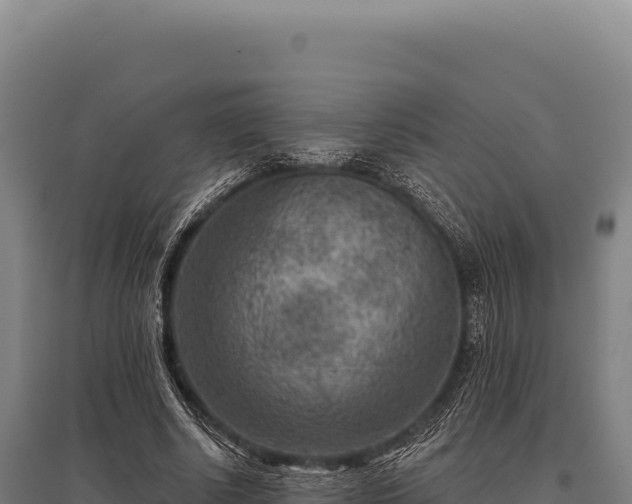 X0000095960634200801181446