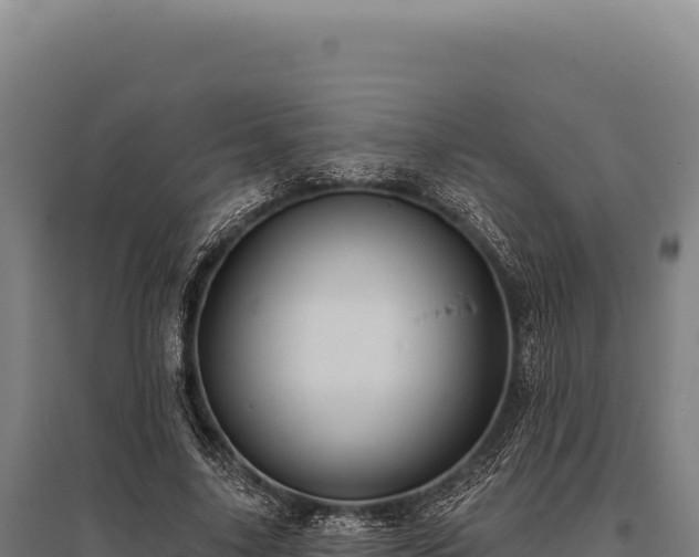 X0000095960635200801181446