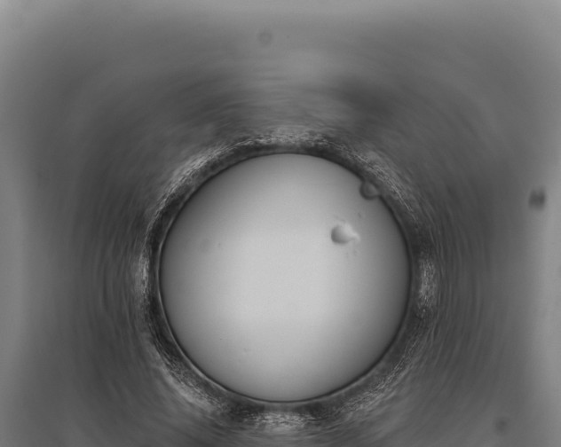 X0000095960636200801181446