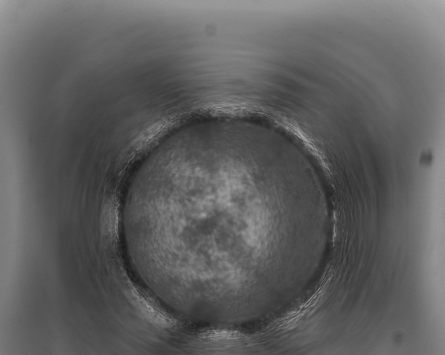 X0000095960637200801181446