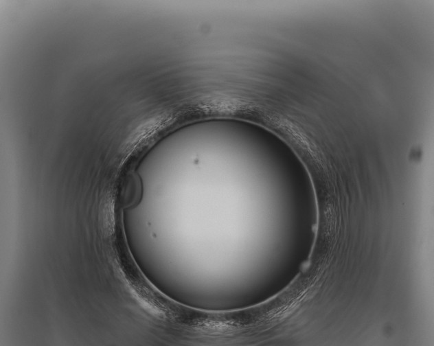 X0000095960638200801181446