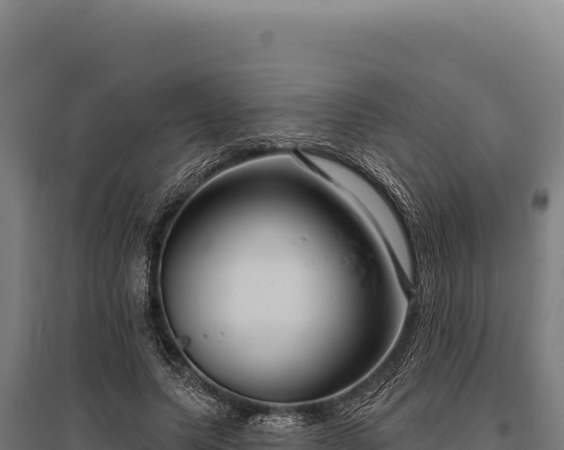 X0000095960639200801181446