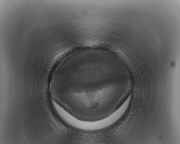 X0000095960640200801181446