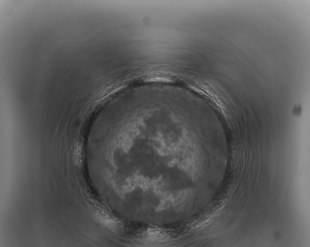 X0000095960641200801181446