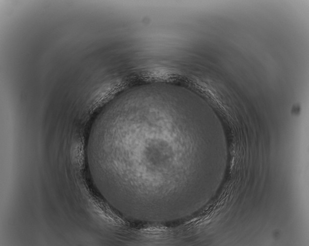 X0000095960642200801181446