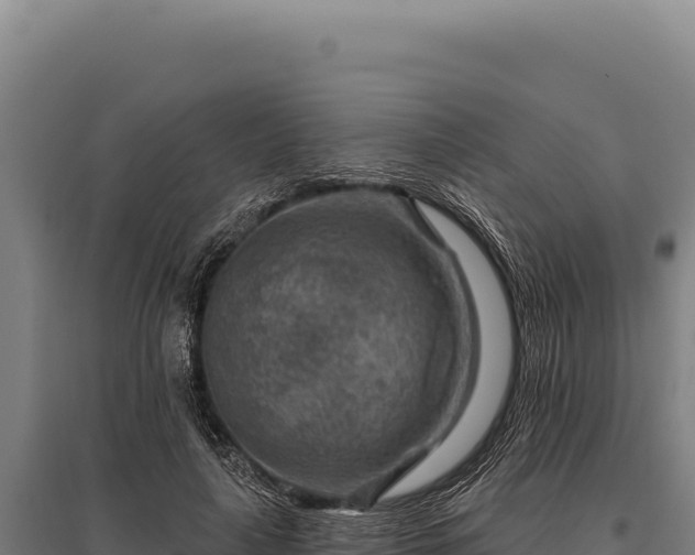 X0000095960643200801181446