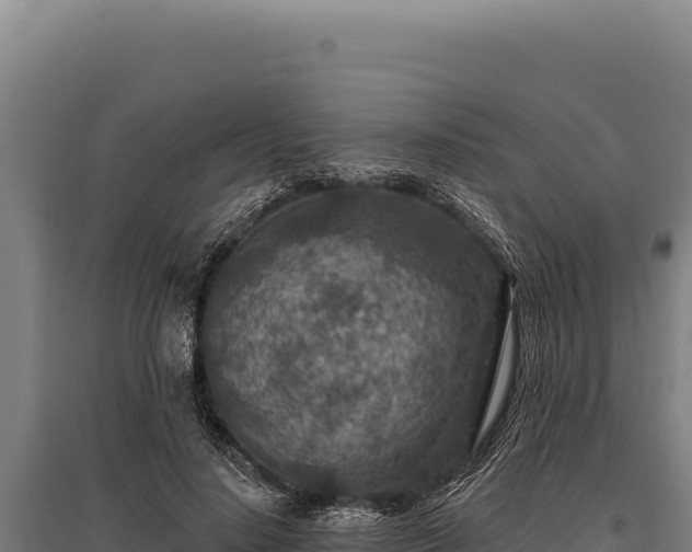 X0000095960644200801181446