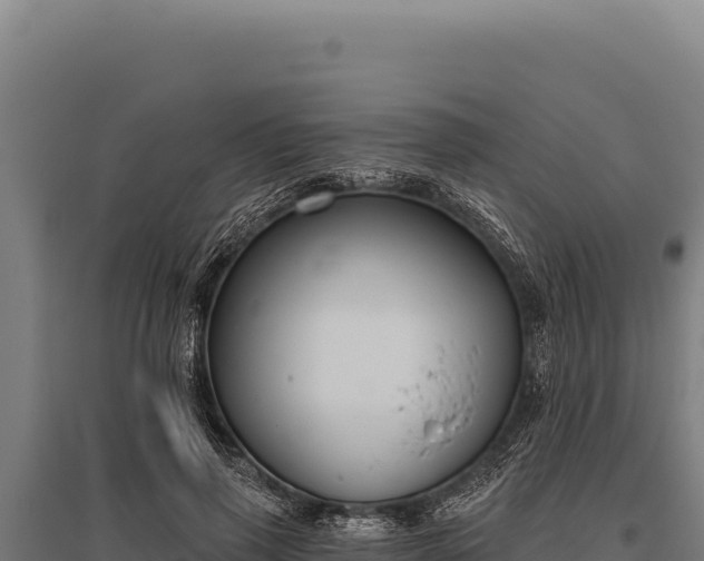 X0000095960645200801181446