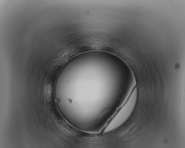 X0000095960646200801181446