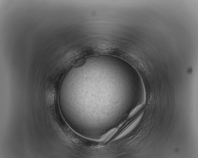 X0000095960647200801181446