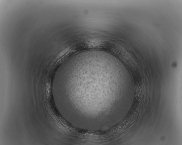 X0000095960648200801181446