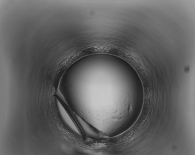 X0000095960649200801181446