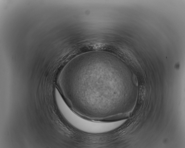 X0000095960650200801181446