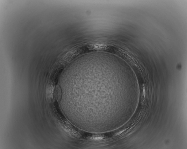 X0000095960651200801181446