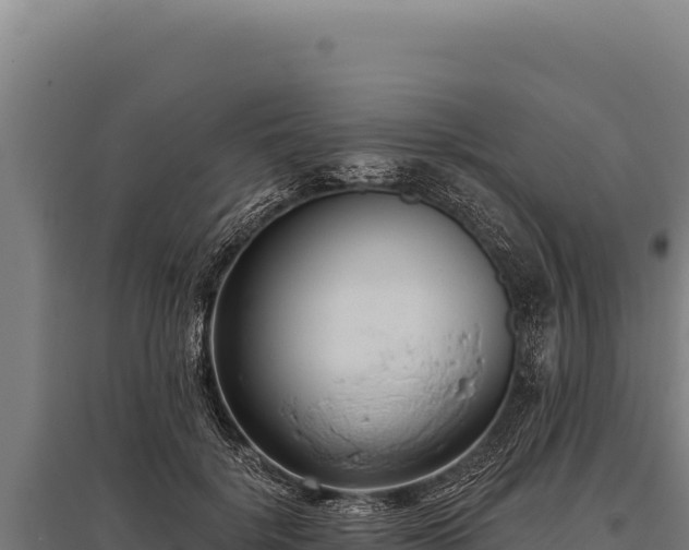 X0000095960652200801181446