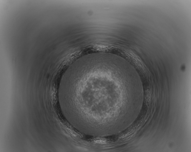 X0000095960653200801181446