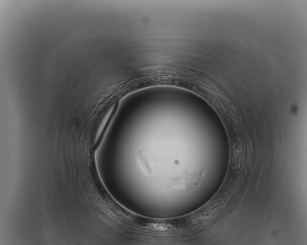 X0000095960654200801181446