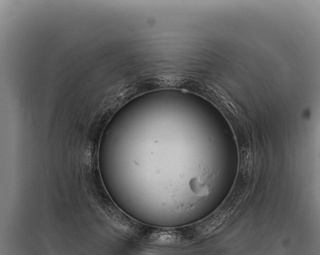 X0000095960655200801181446