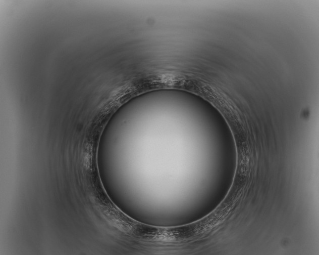 X0000095960656200801181446