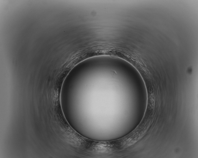 X0000095960657200801181446