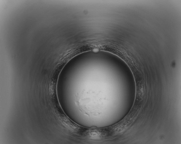 X0000095960658200801181446