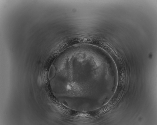 X0000095960659200801181446