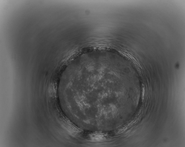 X0000095960661200801181446