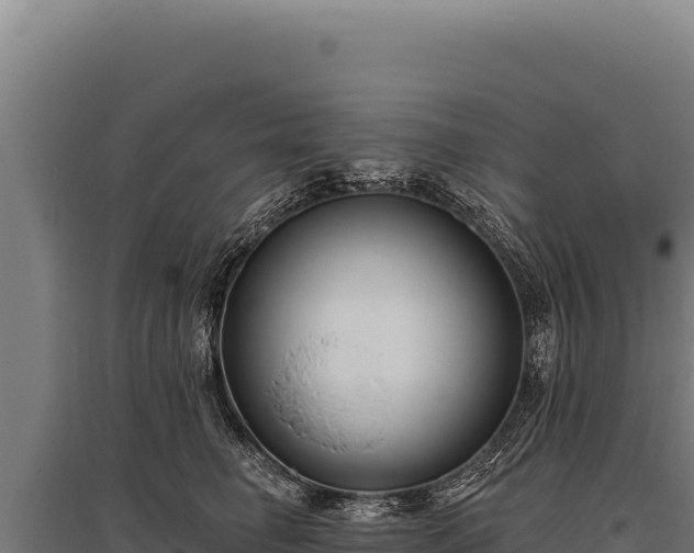 X0000095960662200801181446