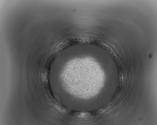 X0000095960663200801181446