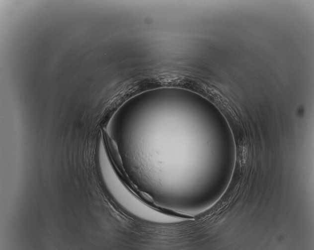 X0000095960664200801181446