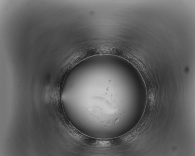 X0000095960665200801181446