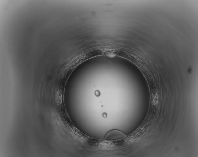 X0000095960666200801181446