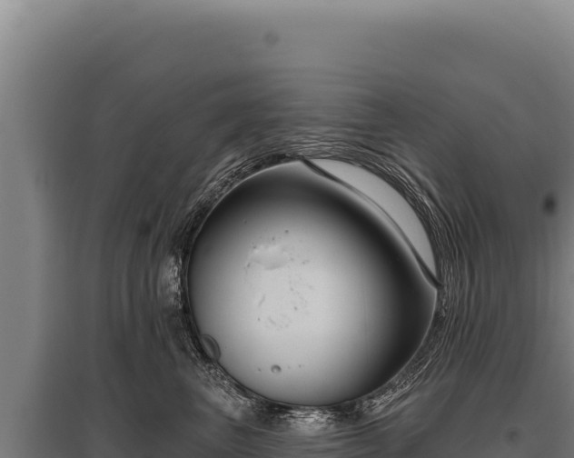 X0000095960667200801181446