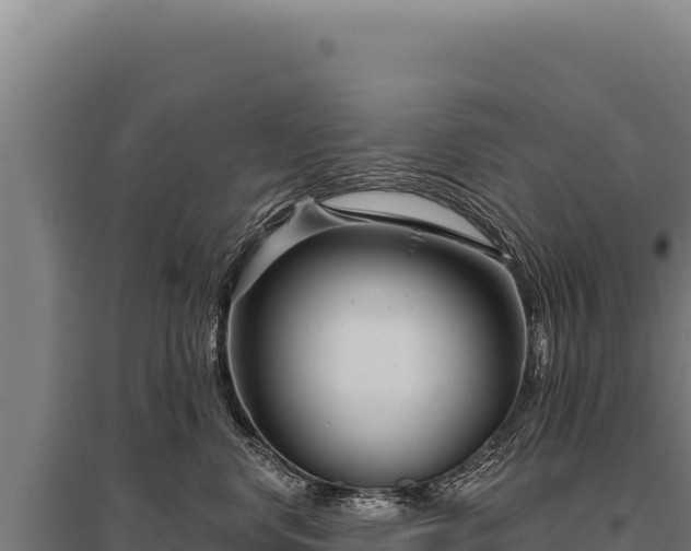 X0000095960668200801181446