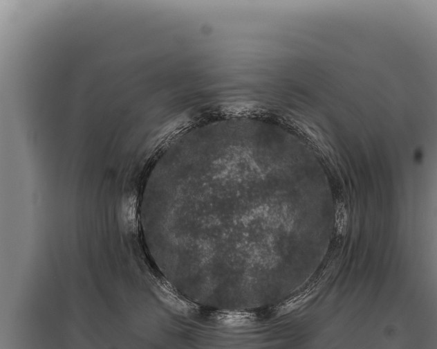 X0000095960670200801181446