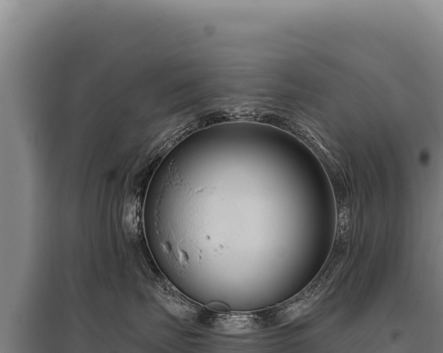 X0000095960671200801181446