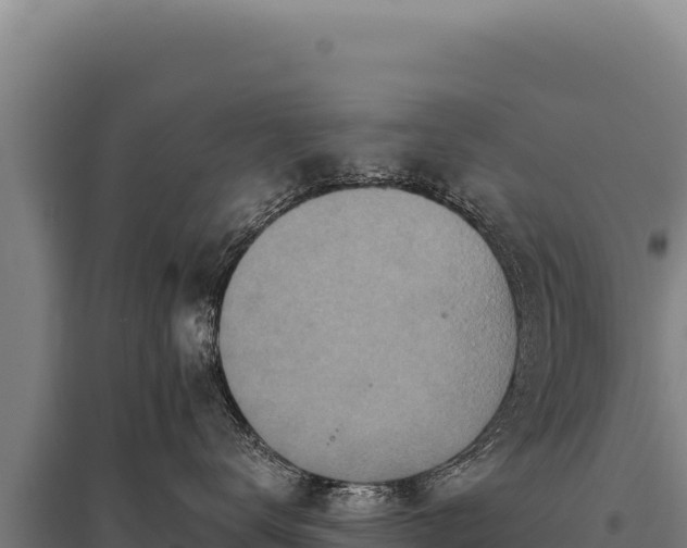 X0000095960672200801181446