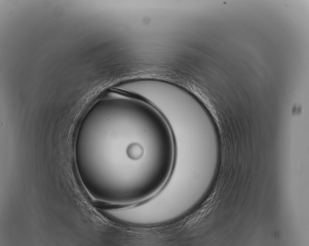 X0000095960673200801181446