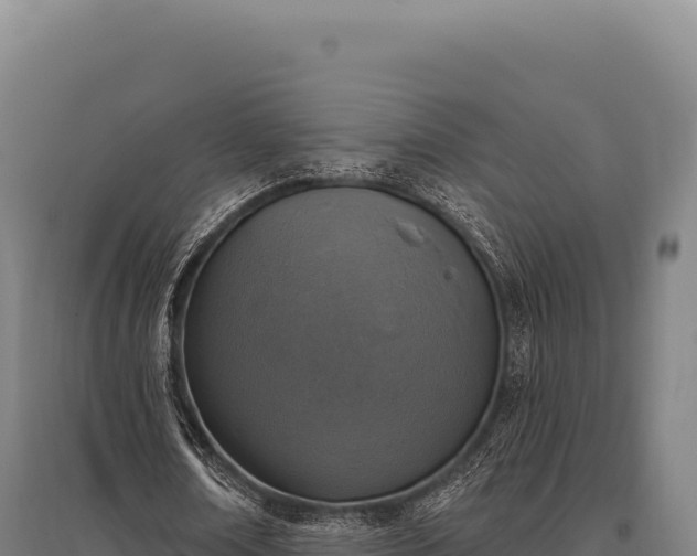 X0000095960674200801181446