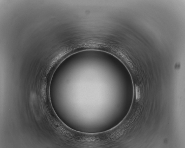 X0000095960675200801181446