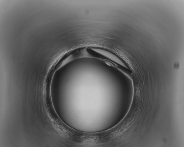 X0000095960676200801181446