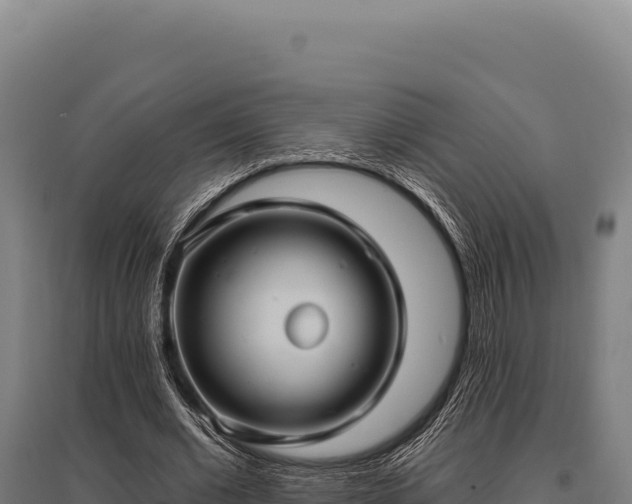 X0000095960677200801181446